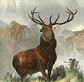 Plate size 27½x29 inches - Engraver T Landseer